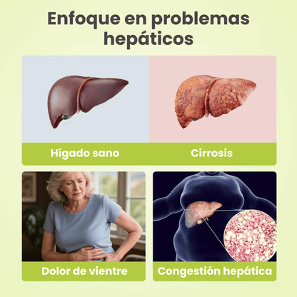 OxyEnergizer® Cardo Mariano I Detox Hígado y Colon