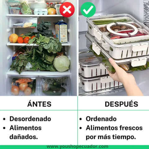Homyx® Organizador de alimentos x3 Unidades